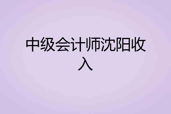 中级会计师沈阳收入