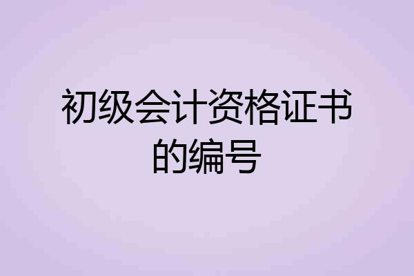 初级会计资格证书的编号
