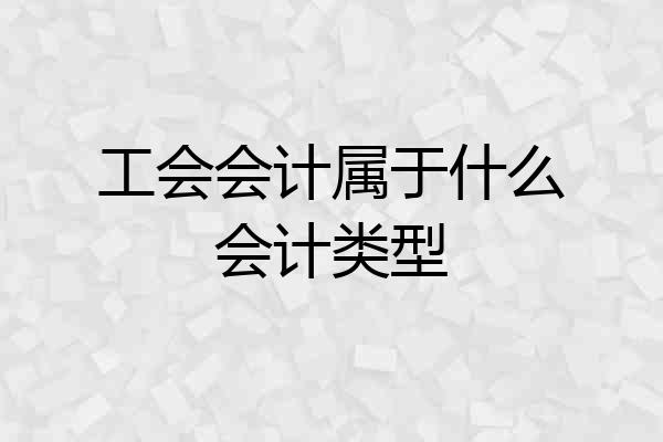 工会会计属于什么会计类型