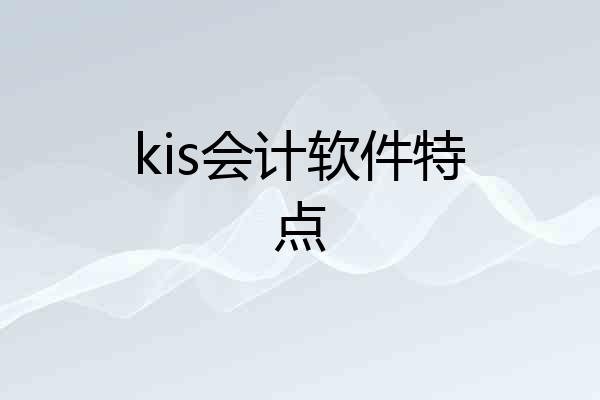 kis会计软件特点