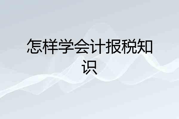 怎样学会计报税知识