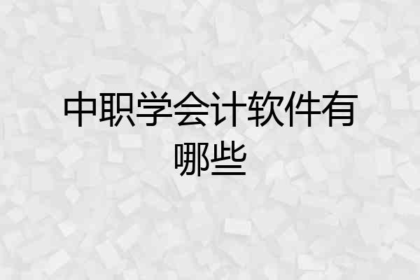 中职学会计软件有哪些