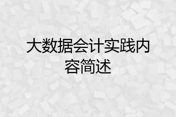 大数据会计实践内容简述