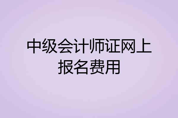 中级会计师证网上报名费用