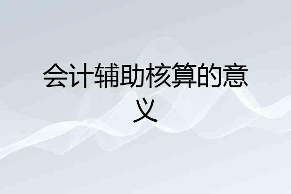 会计辅助核算的意义