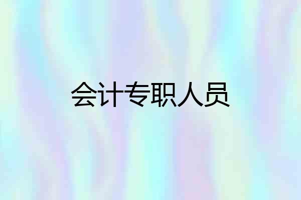 会计专职人员