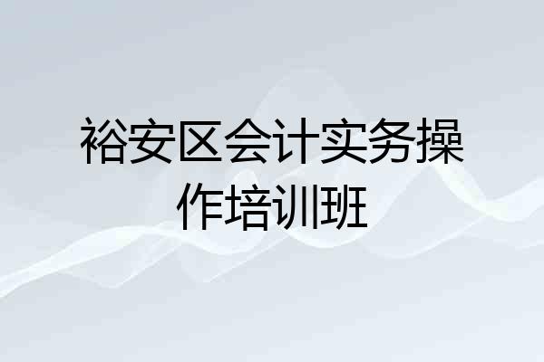 裕安区会计实务操作培训班