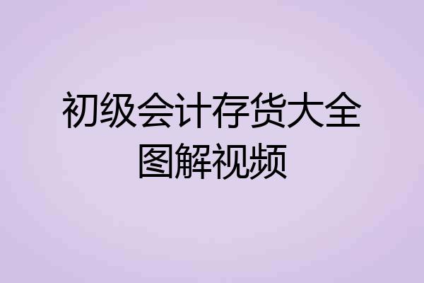 初级会计存货大全图解视频