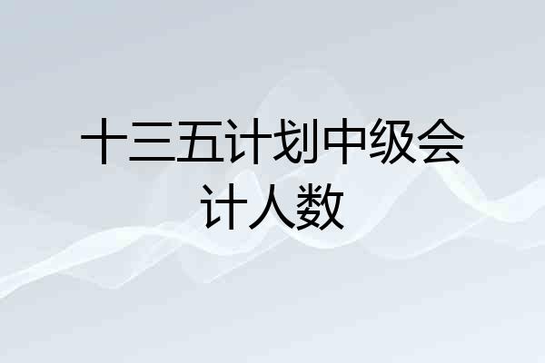 十三五计划中级会计人数