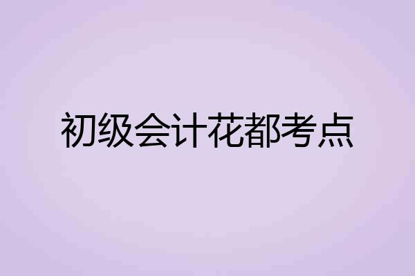 初级会计花都考点