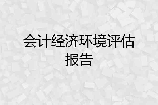 会计经济环境评估报告