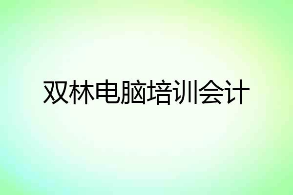 双林电脑培训会计