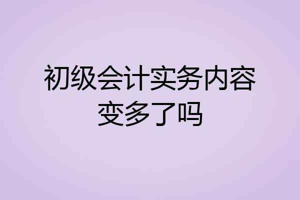 初级会计实务内容变多了吗