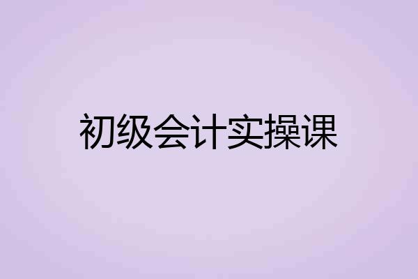 初级会计实操课