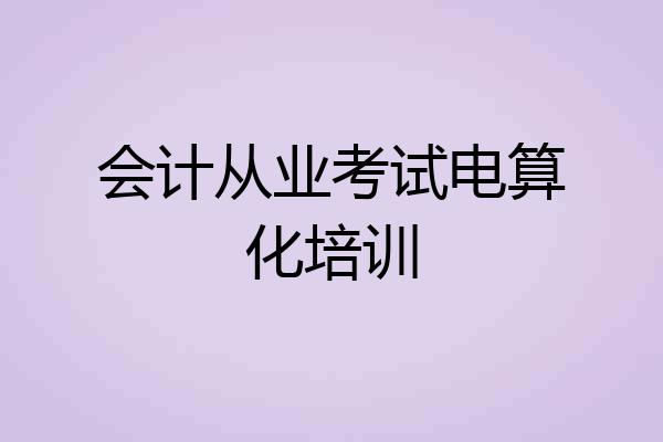 会计从业考试电算化培训