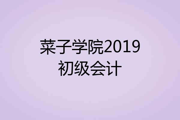 菜子学院2019初级会计