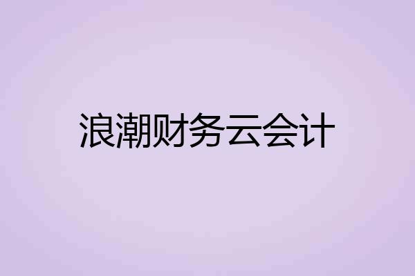 浪潮财务云会计