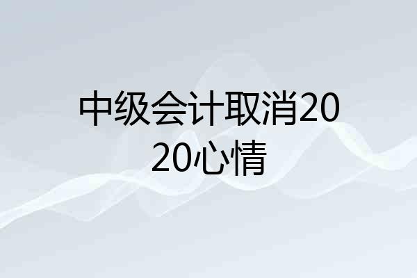 中级会计取消2020心情