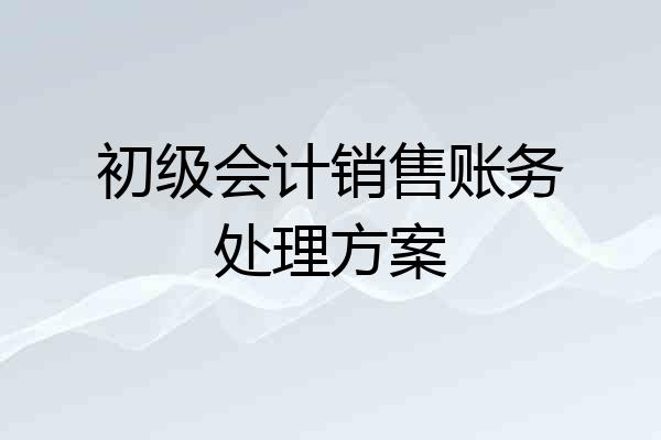 初级会计销售账务处理方案