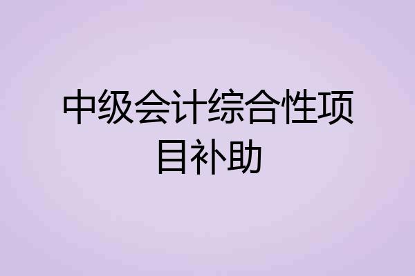 中级会计综合性项目补助