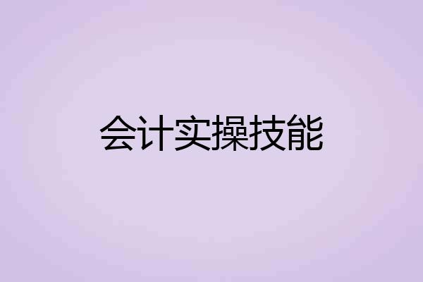会计实操技能