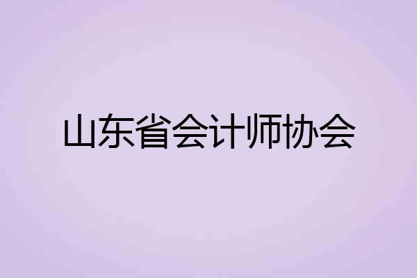 山东省会计师协会