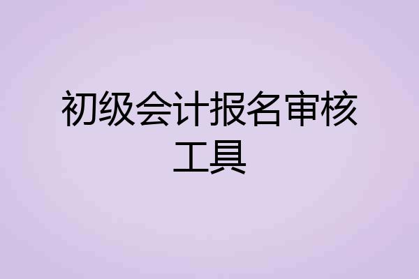 初级会计报名审核工具