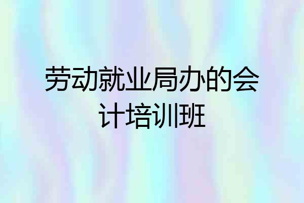劳动就业局办的会计培训班