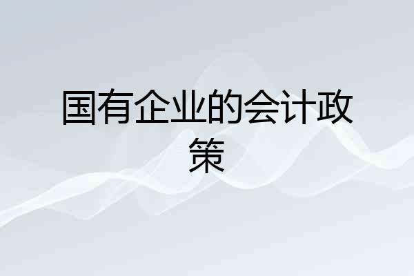 国有企业的会计政策