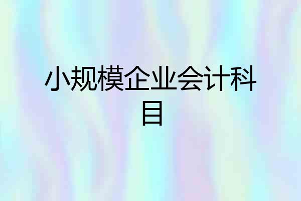 小规模企业会计科目