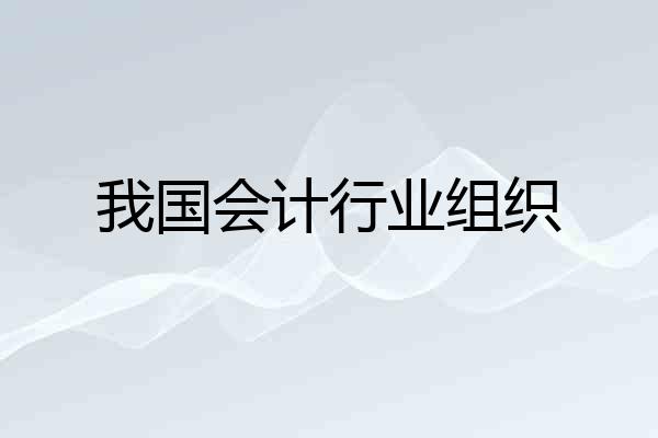 我国会计行业组织