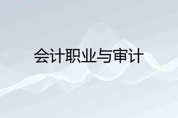 会计职业与审计