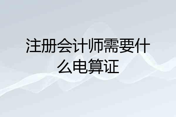 注册会计师需要什么电算证