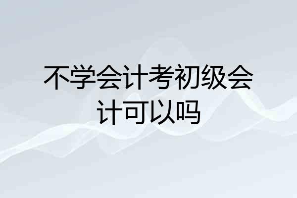 不学会计考初级会计可以吗