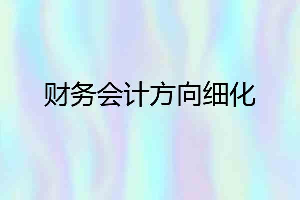 财务会计方向细化