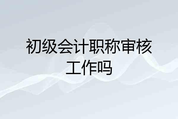 初级会计职称审核工作吗