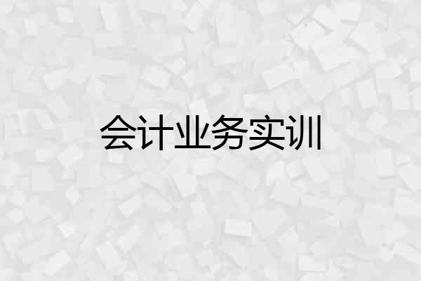 会计业务实训