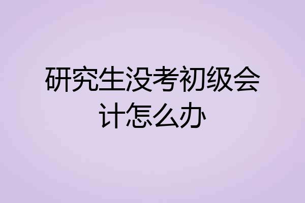 研究生没考初级会计怎么办