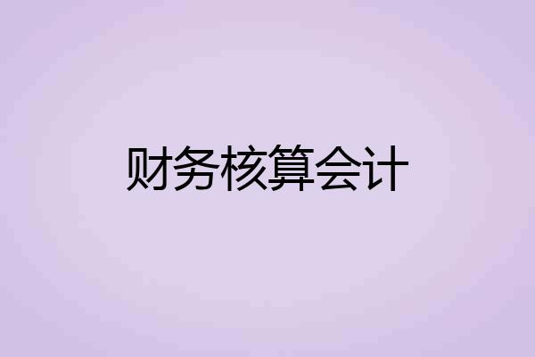 财务核算会计