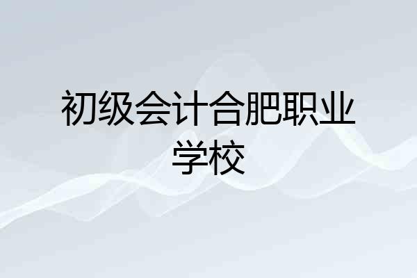 初级会计合肥职业学校