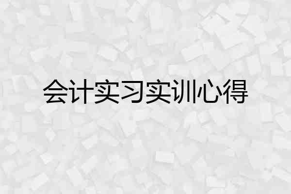 会计实习实训心得