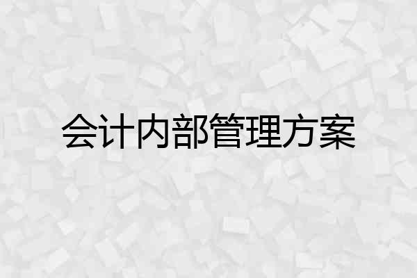 会计内部管理方案