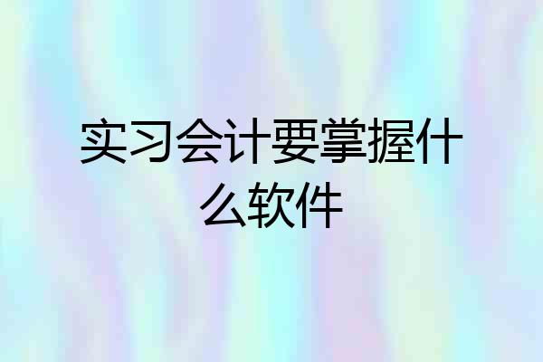 实习会计要掌握什么软件