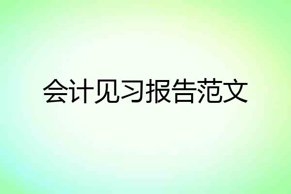 会计见习报告范文