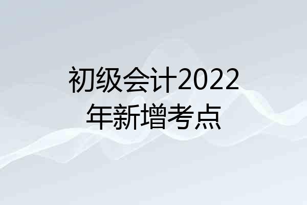 初级会计2022年新增考点