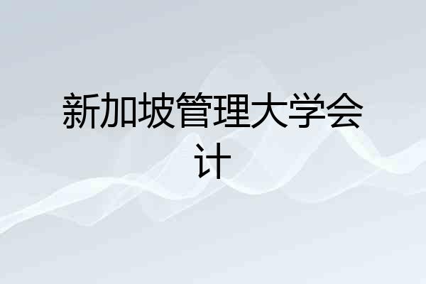 新加坡管理大学会计