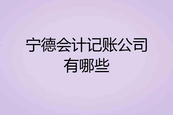 宁德会计记账公司有哪些