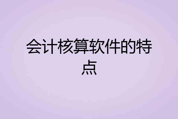 会计核算软件的特点