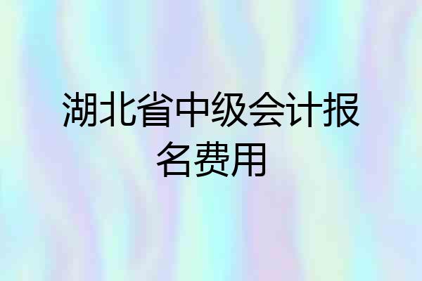 湖北省中级会计报名费用