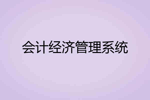 会计经济管理系统
